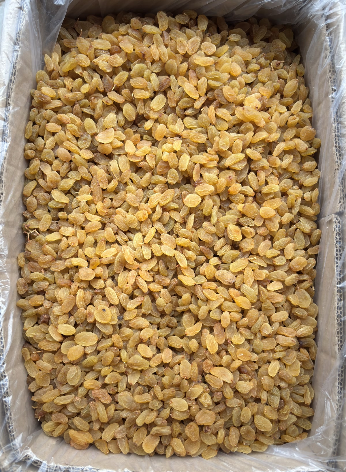 Golden kishmish raisins, lot VGS-24, in a lined carton